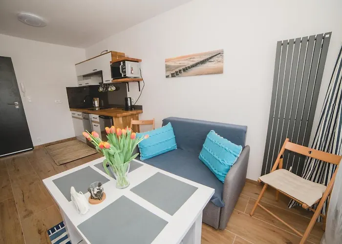 Natura Bałtycki Sen Jastrzębia Góra